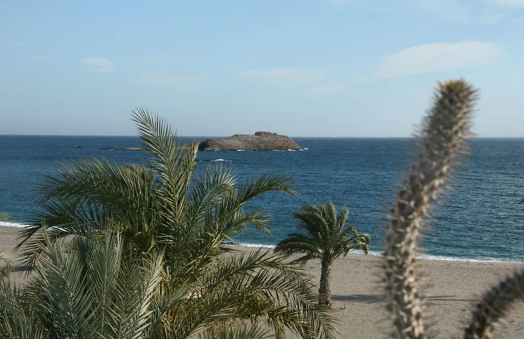 Hotel Las Palmas-1